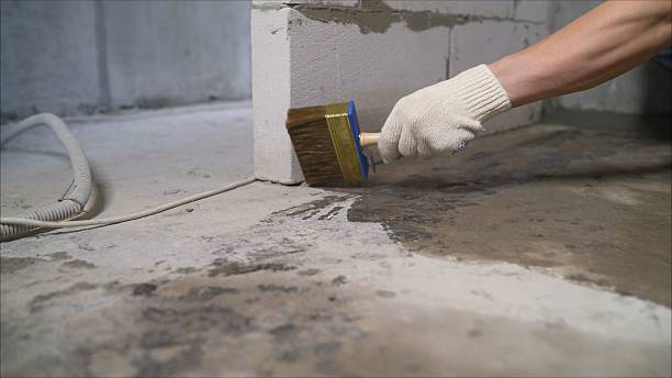 SJ Waterproofing Pros Basement Waterproofing coverage map for Bean Station, TN and surrounding area